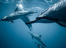 开云体育app-BLG发布对战WBG赛前视频：新的一轮组内赛，大家加油！